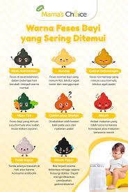 Najis bayi warna hijau minum susu formula. Apa Warna Normal Feses Bayi Yang Minum Susu Formula
