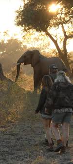 Pin On The Courteney Boot Co