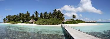 Jenna Poettgen and Kyle Speicher's Wedding Registry