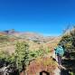 Continental Divide Trail Coalition Partner Hike to Firebrand Pass