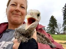 Learn About Farming: An Elementary Lesson Plan