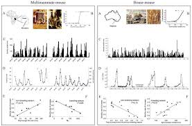 How much does orkin cost? Mice Rats And People The Bio Economics Of Agricultural Rodent Pests Stenseth 2003 Frontiers In Ecology And The Environment Wiley Online Library