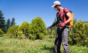 Website manager at ambassador pest management. Top 10 Best Pest Exterminators In Delray Beach Fl Angi