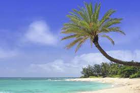 Sunset beach, hawaii, sunset beach, hi, us. Sunset Beach Oahu Hawaii Get Married On Oahu S Famed North Shore Married With Aloha Hawaii