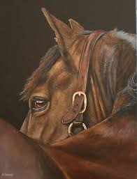 Attentive By Stephanie Greaves Horse Artwork Animal Art Animal Paintings