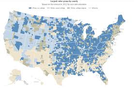 Largest Voter Group By County In The Us City Layout Cultural Studies Cartography