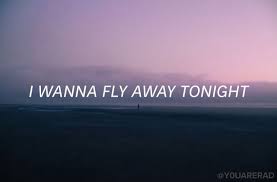 By Gracie卌 Y0uarerad 5sos Lyrics Instagram Captions Summer Lyrics