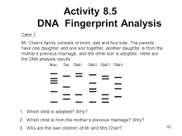 Dna profiling (also called dna fingerprinting) is the process of determining an individual's dna characteristics. Dna Fingerprinting Worksheet Key Nidecmege