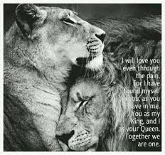We Will Walk This World Together Through The Strom Whatver Weather Cold Or Warm Your My Soulmate My Tony Weiblicher Lowe Tierbilder Lowe Liebe