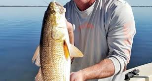 Panama City Beach Panama City Fishing Forecasts Coastal