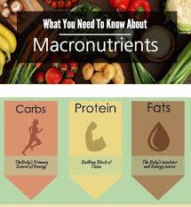 nutrition charts tumblr