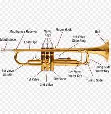 It also carries microscopic illuminators. Trumpet Diagram Image Labelled Diagram Of A Trumpet Png Image With Transparent Background Toppng