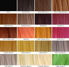 Kanekalon Wefts Color Chart Part 1 Hair Color Guide Hair