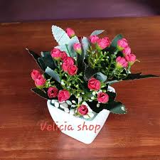 Check spelling or type a new query. Velicia Shop Bunga Pajangan Bunga Hias Plastik Bunga Meja Ruangan Tamu Bunga Kecil Tanaman Artifisial Pot Kecil Fvl00102mr Lazada Indonesia