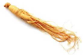Phân biệt các loại nhân sâm