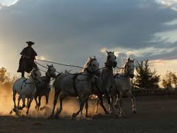 Hungarian Cowboys Magyar Csikos Ungarn Ungarisch Kunst