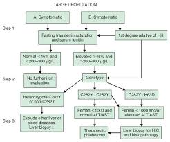 Hemochromatosis Metabolic Disorders Disorders Metabolism