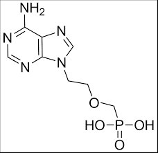Image result for Adefovir