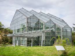Der botanische garten im zentrum der stadt solingen wird vorgestellt. Botanischer Garten Osnabruck Wikipedia