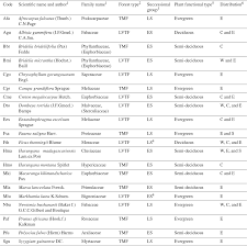 Image result for Bridelia brideliifolia
