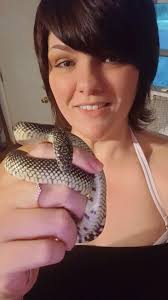 Speckled kingsnake found