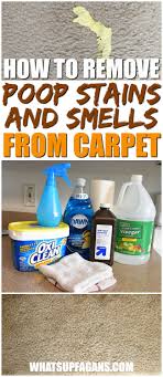 If the carpet is light and still remains discolored follow with a treatment of oxiclean carpet; Remove Poop Stains And Smells From Carpets With This Diy Solution