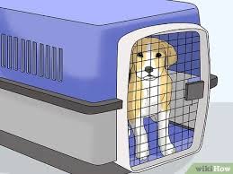 I had set up his pen, toys, blankets and crate in the family room. 4 Ways To Train Or Help A Puppy Stop Crying When Locked Up Or Outside