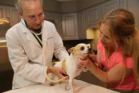 Justanswer.com has been visited by 100k+ users in the past month Home Vet Visit Near Me Cheap Buy Online