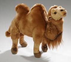 Stuff the cooked lamb with stuffed chickens. Camels Made Of Plush Plushcamels Plueschtier De