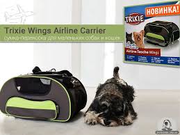 pin na doske zoomagazin zverushka kiev zverushka org ua