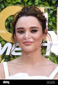 Virginia hunter hi-res stock photography and images