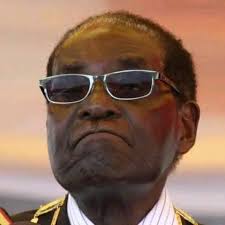 If me and you dey chat try dey reply fast because if I enter TikTok ehen  🤣🤣 Ur own don go🤣🤣 #chideraoraka #HappyNewWeek #laughter #funny #laugh  Chidera Oraka