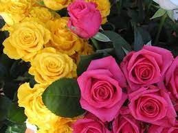 Bouquet of beautiful tulips in the morning dew. Beautiful Flowers And Roses Home Facebook
