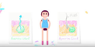 Shaving doesn't make the hair grow back thicker; Here Are A Few Scary Reasons Why You Shouldn T Shave Your Pubes Hellogiggles