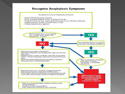 Allergy Awareness Epipen Use Ppt Download