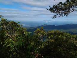 Tempat wisata di riau cukup beragam, bahkan menjadi salah satu penyumbang destinasi wisata terbaik di indonesia. Tempat Menarik Di Kulim Percutian Bajet