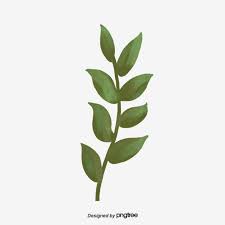 Leaf Branches And Leaves Of Green Plants Plant Clipart Element Blade Of Leaves Png Transparent Clipart Image And Psd File For Free Download Plants Green Plants Leaves Illustration
