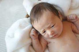 C Callahan Photography