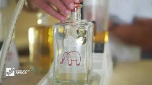 South africa has introduced new restrictions, including another ban on alcohol sales, to help contain the spread of coronavirus. Drinking Bans Are Back In Fashion During The Covid Pandemic But Experts Are Wary Of Prohibition 2 0 Cnn