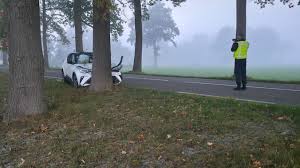 de Stentor