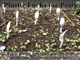 Findige menschen haben sich für diese lästigen schwierigkeiten was überlegt. Lifehacks For Your Garden Others