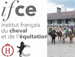 Média amateur sur les sports équestres. A Savoir Pour Les Professionnels De L Equitation Crte Auvergne Rhone Alpes