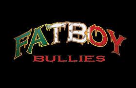 Fatboy Bullies