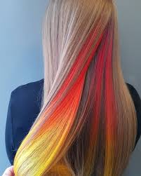 Latest Colorful Hair Dye Ideas For Girls 2019 4 Hair Styles Hidden Hair Color Peekaboo Hair