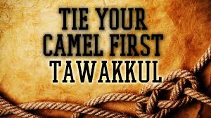 The master said, trust in allah but tether your camel first — because allah has no other hands than yours. if he wants to tether the camel he will have to don't trust only your hands, otherwise you will become tense. Trusting God Tying The Camel Soundvision Com