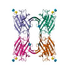 Image result for SBE Formula D touch/com