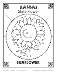 Save & print free state flower of kansas coloring worksheets for your child to strengthen world of imagination & creativity. Pin On Flowers Plants Theme