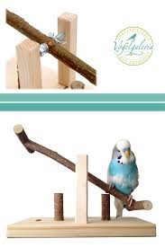 Um ihnen das ausleben dieser verhaltensweisen auch in käfig diese können sie im zoofachhandel erwerben oder selber bauen. Vogelwippe Vogel Als Haustiere Vogelzubehor Wellensittich Spielzeug