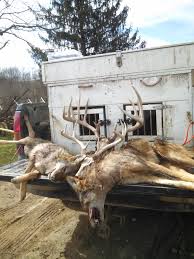 Leroy Raber (@LLeroyraber)