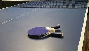 Le vainqueur de l'édition 2019 est long ma. Tennis De Table La Tunisie Abritera Le Championnat Du Monde Juniors 2021 La Presse De Tunisie